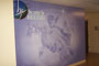 Wall Murals and Floor Graphics: Thumbnail of Florida Hospital printed wall mural.