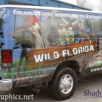 wildflorida